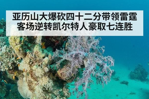亚历山大爆砍四十二分带领雷霆客场逆转凯尔特人豪取七连胜